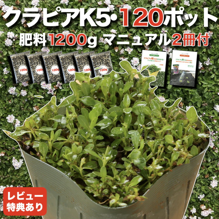 今めかしいな鉢50類概念！超大型～中型まで真四角・矩形・丸型など露天室内別に厳選