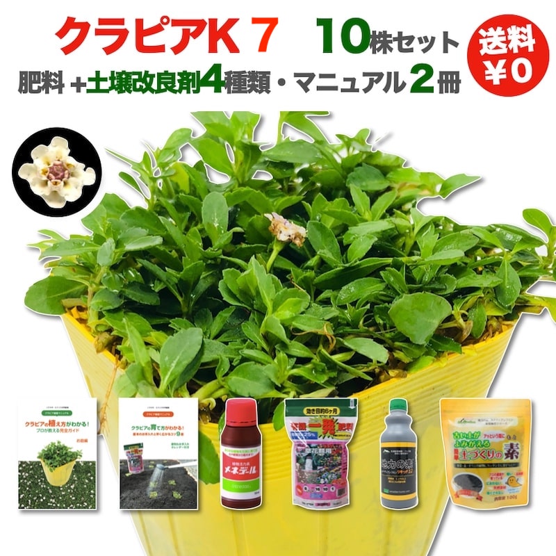 【楽天市場】カナディアンフルボ鉄プラスマルチミネラル1kg 植物成長促進活力剤 液剤 液肥 土壌改良 ガーデニング 畑 野菜 作物 肥料 家庭菜園  農業 農作物 発根 : クラピア・観葉植物専門店ミドリス