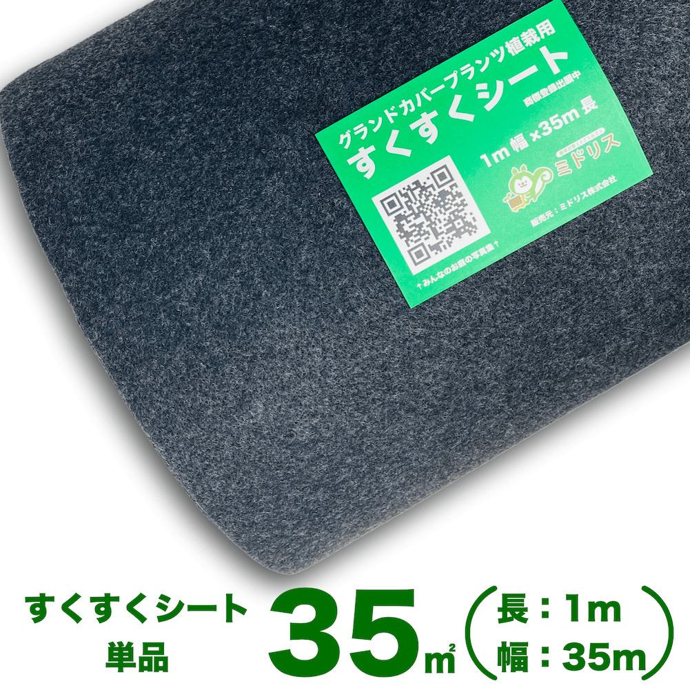 楽天市場】ザバーン２４０G 強力防草シート ８０cm幅３０m巻２４平米分 4層不織布 人工芝下と砂利下は耐用年数半永久 高耐久 10年以上 雑草対策  除草コスト削減 デュポン社製 テープ ピン 別売り : クラピア・観葉植物専門店ミドリス