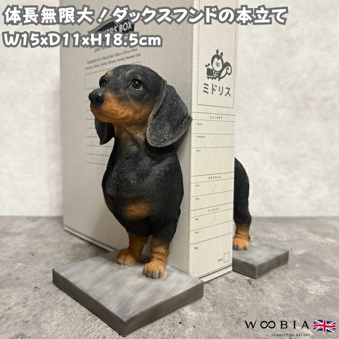 今めかしいな鉢50類概念！超大型～中型まで真四角・矩形・丸型など室外室内別に厳選