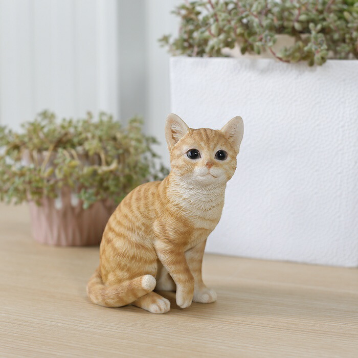 №12 ぐで猫ジャンピング猫お座り猫 まとめ売り ネコだって靴下履きたい vol.4 | 靴下屋公式通販 Tabio