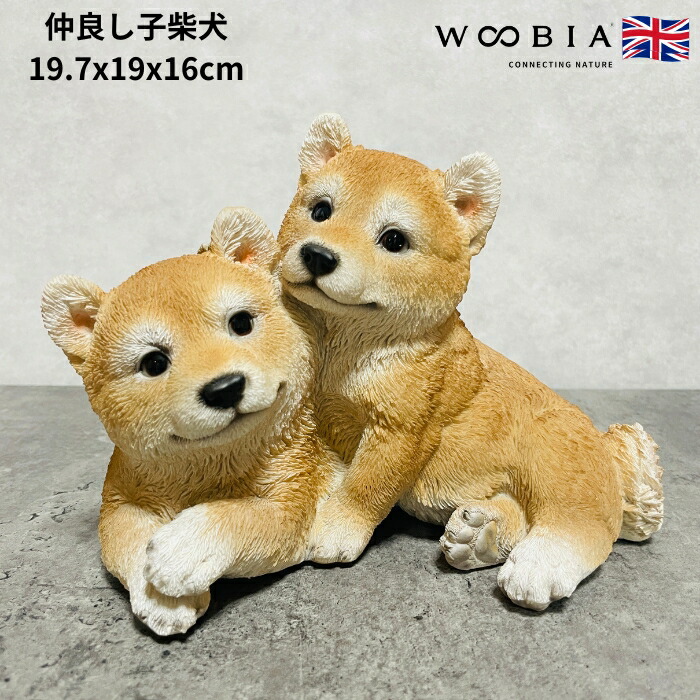 楽天市場】置物 右向き秋田犬 大 犬グッズ 高さ34.8cm woobia
