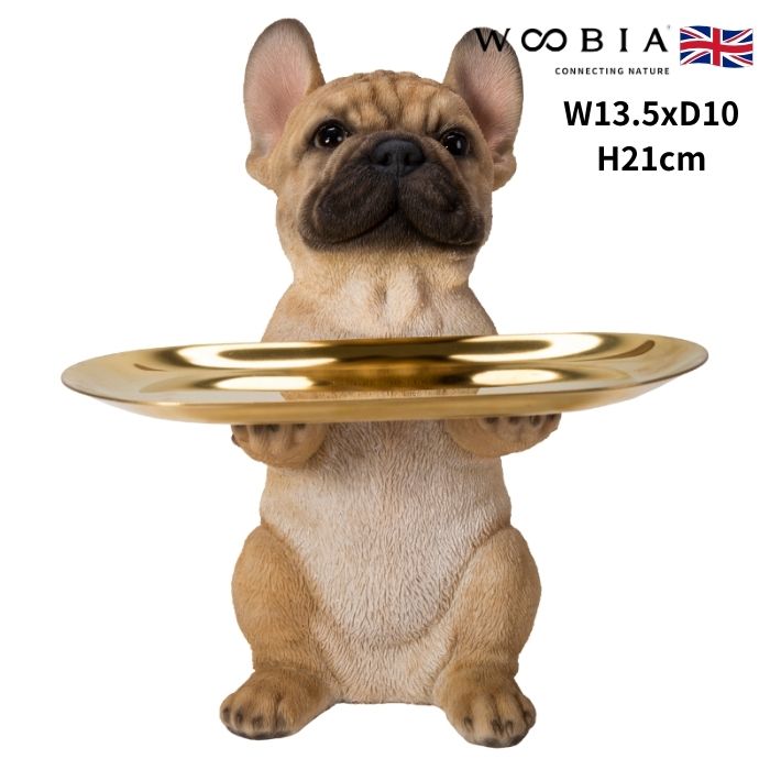 置物 フレンチブルドッグの小物置きトレーの取り外し可能 イヌ 犬 高さ21cm woobia ウービア 大きい かわいい おしゃれ ガーデン インテリア オブジェ 可愛い プレゼント 北欧 玄関 雑貨 動物 モダン 面白い 庭 ギフト 屋外 家 リアル 玄関先 ガーデンオーナメント|クラピア・観葉植物専門店ミドリス