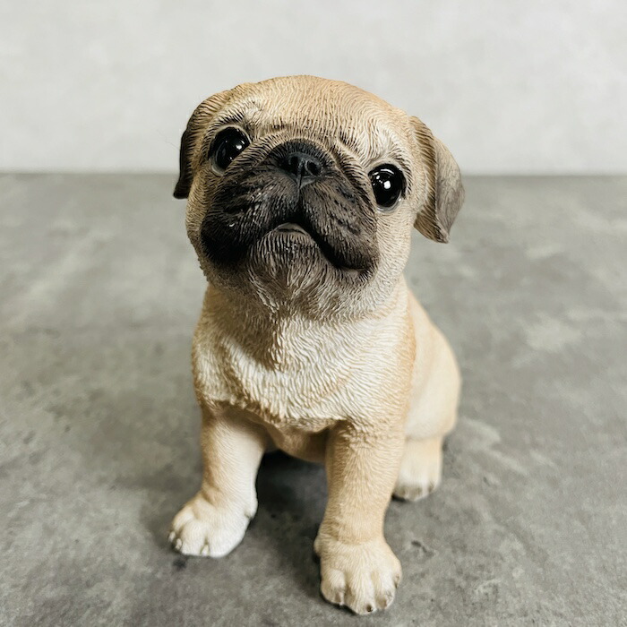 楽天市場】かわいい 犬 置物 高さ19.3cm お座り パグ woobia ウービア