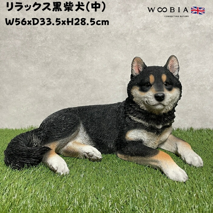 特別価格！【原画（額縁無し）】『バシルマ』（犬　柴犬） シバマル Vol.5 (タツミムック) | Shi-Ba編集部 |本 | 通販 | Amazon