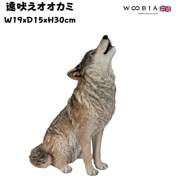 楽天市場】オオカミ Wolf 強化プラスチック（FRP） アート