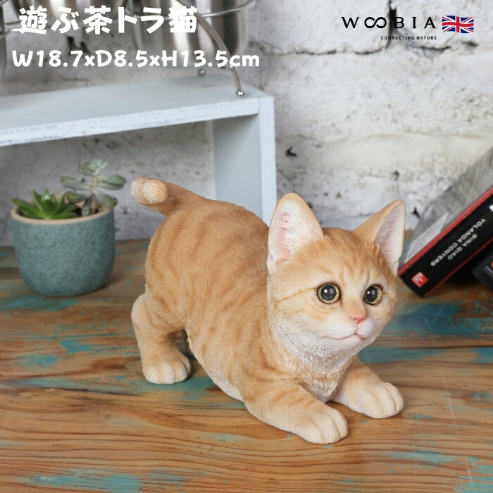 作家さんが手掛けた美しいお色でどの角度からも可愛い過ぎる眠り