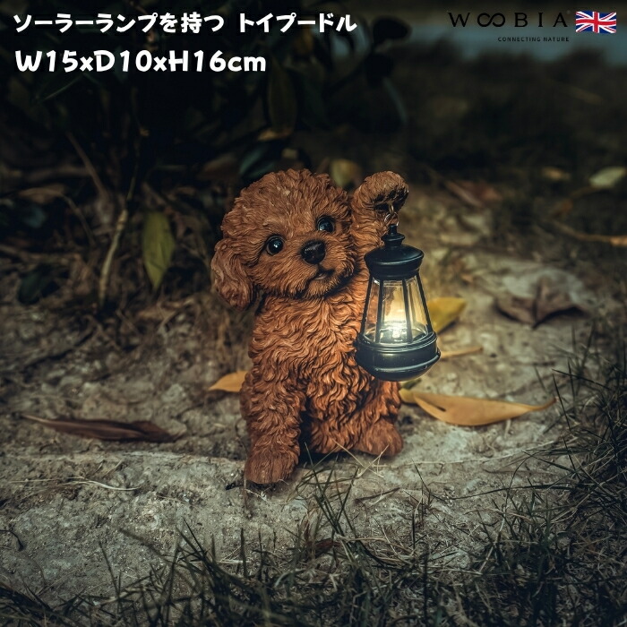 楽天市場】かわいい 犬 置物 見上げるトイプードル ブラウン woobia