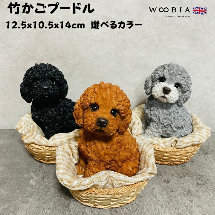 楽天市場】かわいい 犬 置物 見上げるトイプードル ブラウン