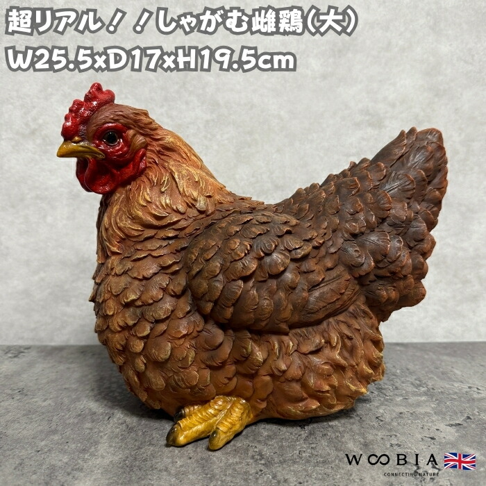 置物 鳥 かわいい オブジェ 北欧 動物 しゃがむ雌鶏 大 ニワトリ 高さ19.5cm woobia ウービア 大きい おしゃれ ガーデン インテリア 大型 プレゼント 玄関 雑貨 モダン 面白い 庭 ギフト 屋外 家 リアル 玄関先 ガーデンオーナメント