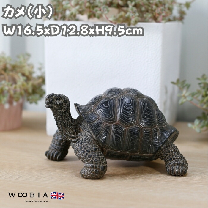 リアルな亀置物 約50cm 【公式通販】