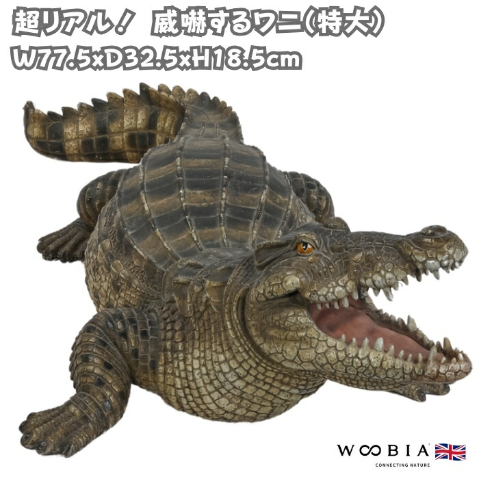 ワニ　置物 fr110086_3.jpg