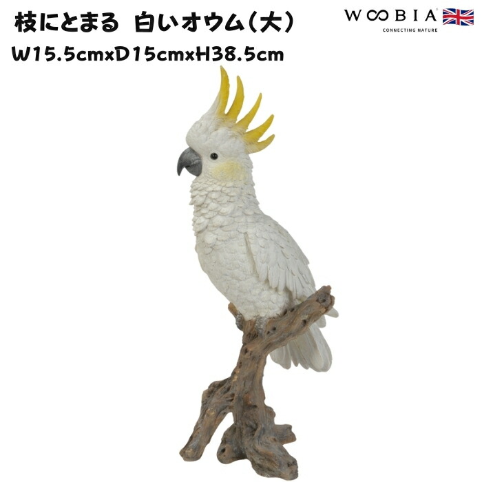 ミミズクさんの止まり木に 檜切り株 これなら簡単！ソーホースブラケットで持ち運びも楽なミミズクの