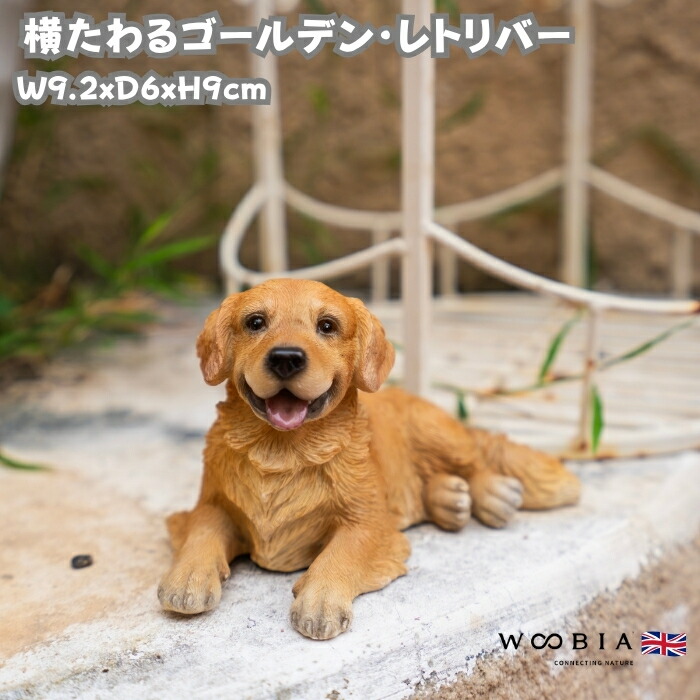 楽天市場】犬 置物 小さい かわいい おしゃれ お座りゴールデン