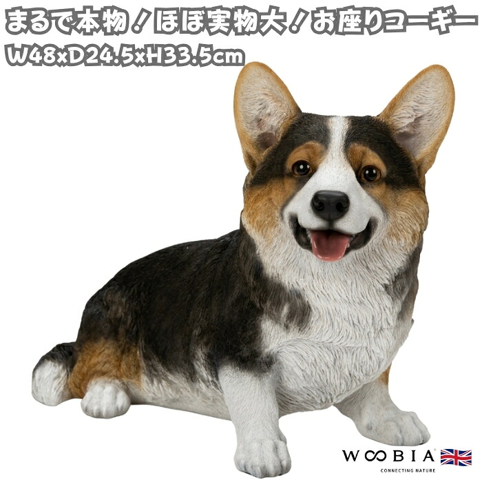 犬 置物 大きい お座りコーギー 黒 大 体長48cm woobia ウービア 大型 かわいい おしゃれ ガーデン インテリア オブジェ 巨大 可愛い プレゼント 北欧 玄関 雑貨 動物 モダン 面白い 庭 ギフト 屋外 家 リアル 玄関先 ガーデンオーナメント｜クラピア・観葉植物専門店ミドリス