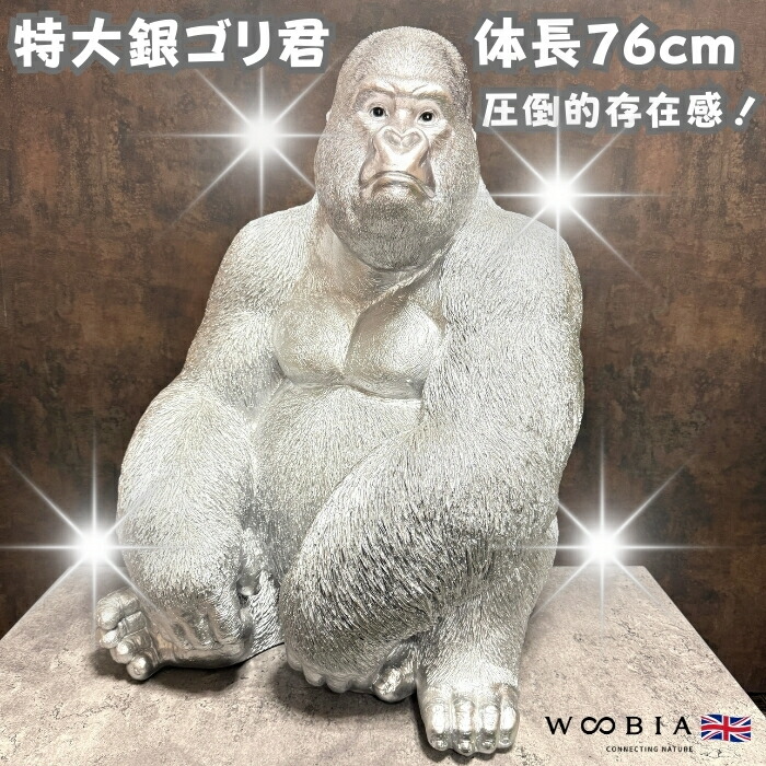 今めかしいな鉢50類概念！超大型～中型まで真四角・矩形・丸型など室外室内別に厳選
