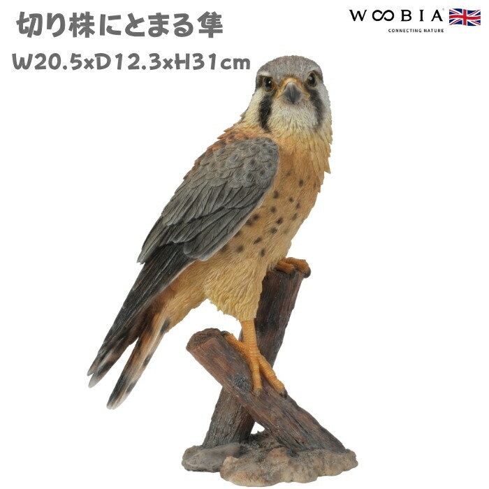 ミミズクさんの止まり木に 檜切り株 ミミズクさんの止まり木に 檜切り株 ミミズクさんの止まり木に 檜