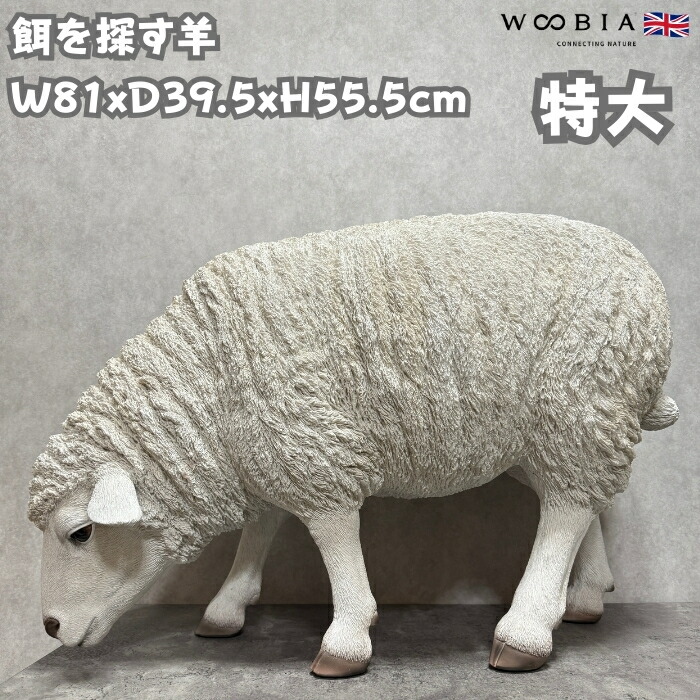 動物シリーズ　羊 imgrc0081160097.jpg