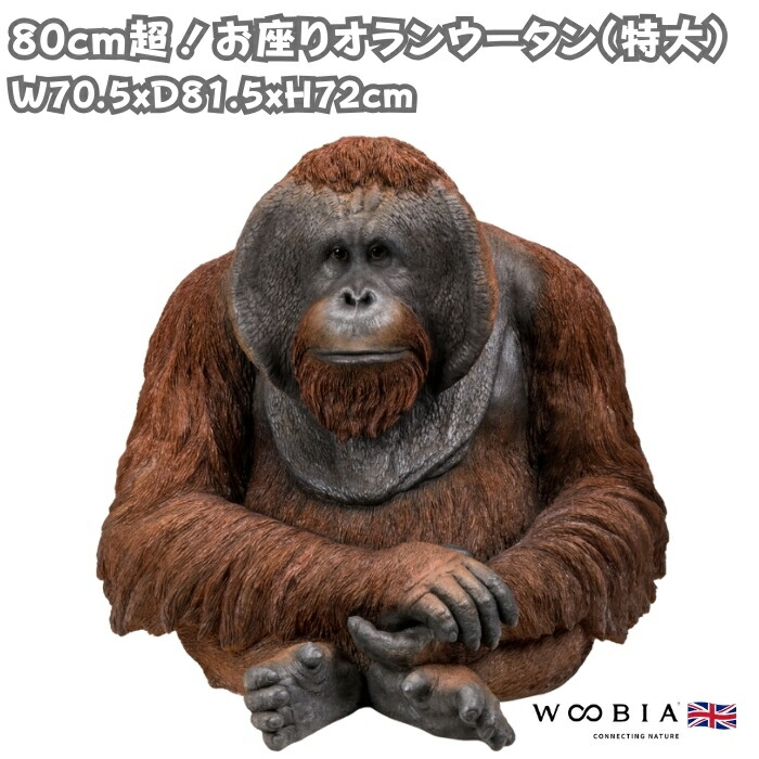 今めかしいな鉢50類概念！超大型～中型まで真四角・矩形・丸型など露天室内別に厳選