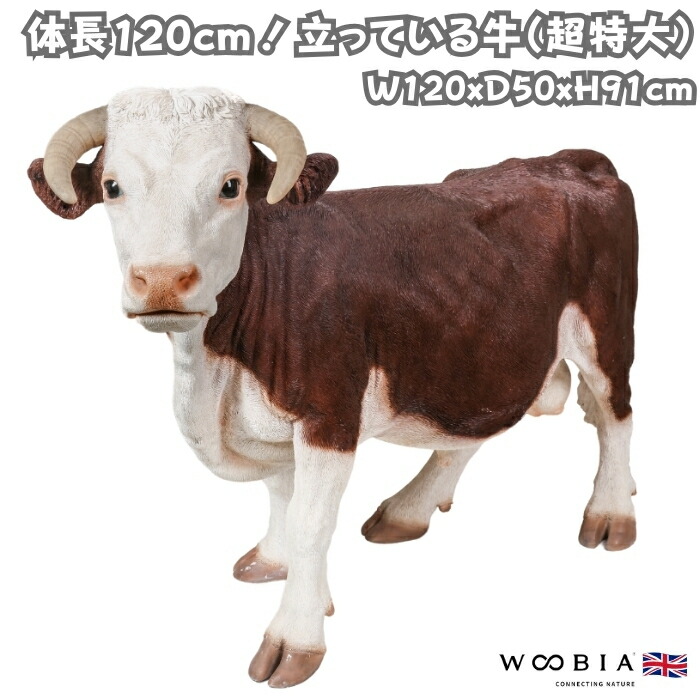 楽天市場】生まれたての乳牛 New Born Calf 強化プラスチック
