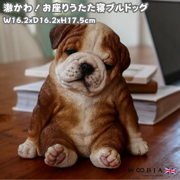 楽天市場】犬の置物 ブルちゃんA 高さ31.5cm かわいい おもしろ