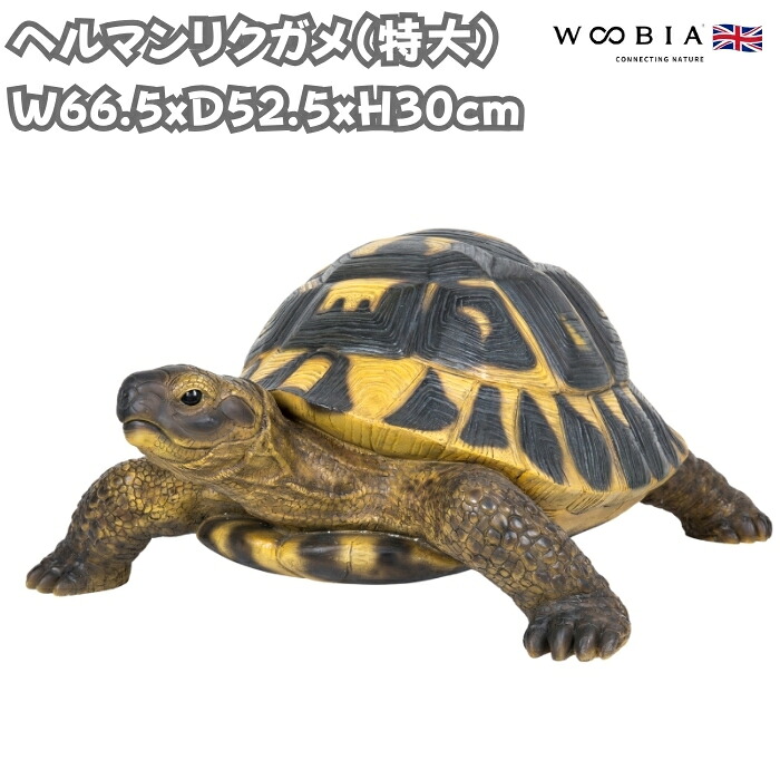 置物 ヘルマンリクガメ 特大 亀グッズ 横幅66.5cm woobia ウービア 大きい かわいい おしゃれ ガーデン インテリア オブジェ 巨大 可愛い プレゼント 北欧 玄関 雑貨 動物 モダン 面白い 庭 ギフト 屋外 家 リアル 玄関先 ガーデンオーナメント