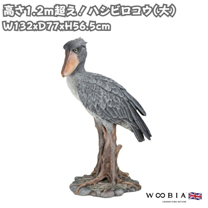 楽天市場】立つハシビロコウ Shoebill Stork 強化プラスチック (FRP