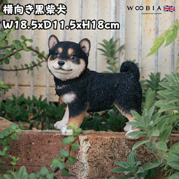 楽天市場】かわいい 犬 置物 木馬に乗る柴犬 グッズ woobia