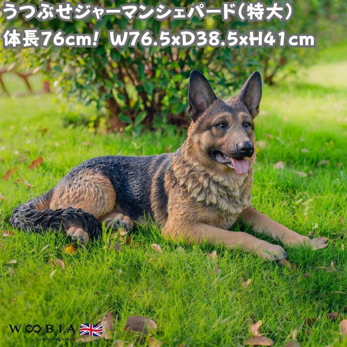 シェパード　置物　オブジェ　犬　いぬ　玄関　エントランス　オーナメント　ドッグ シェパード 置物 オブジェ 犬 いぬ 玄関 エントランス