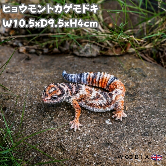 楽天市場】ヒョウモントカゲモドキ リアル トカゲ レオパ オブジェ