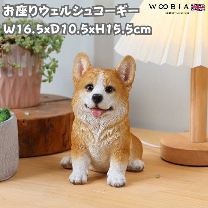楽天市場】おすわりコーギー犬 Corgi Dog -Sitting 強化