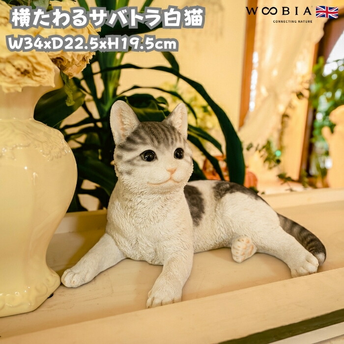 ねこ 楽天市場】ねこ肯定感 抱き枕 ぬいぐるみ Lサイズ ネコ 猫 動物