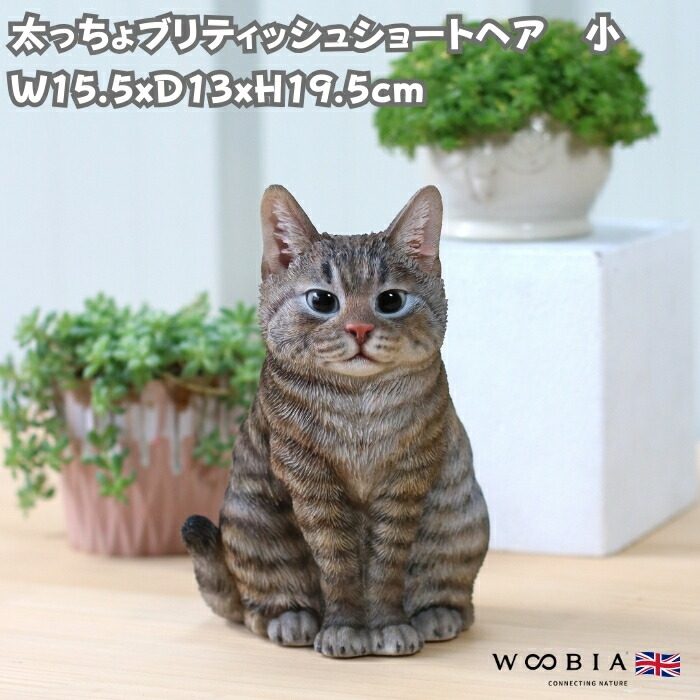 楽天市場】かわいい置物 ストレッチ猫 ゴールド woobia ウービア