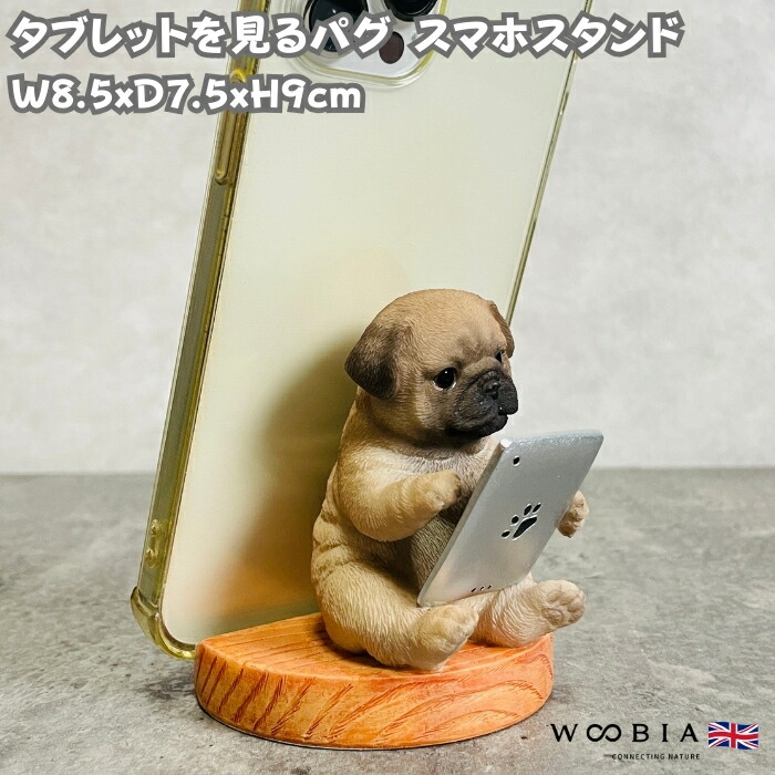 楽天市場】スマホスタンド テレビを見るフレンチブルドッグ woobia