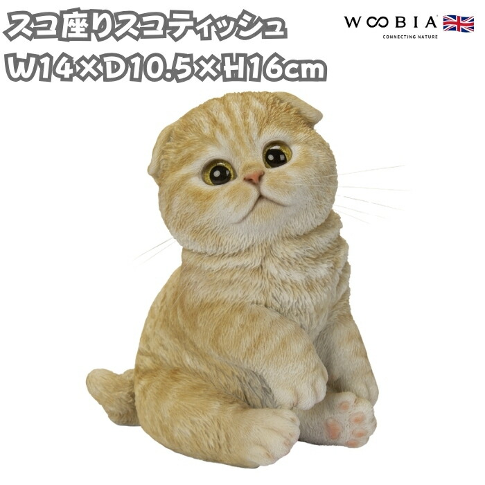 ウォシュレット！！！(スコティッシュ) スコ座りスコティッシュフォールドたれ耳茶トラ｜WooBia公式オンライン