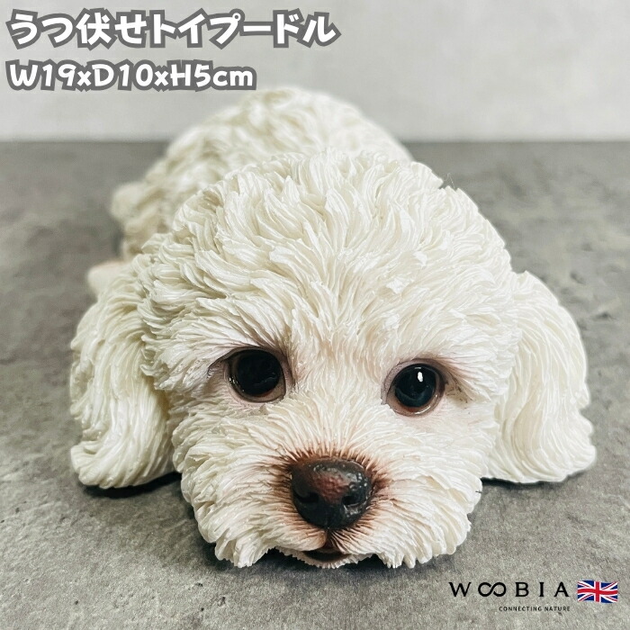 楽天市場】トイプードル かご入り置物 かわいい置物 犬の置物 かご子犬