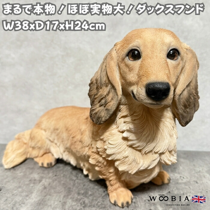 楽天市場】犬 置物 小さい かわいい おしゃれ 頭を上げるダックス