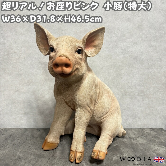 今めかしいな鉢50類概念！超大型～中型まで真四角・矩形・丸型など室外室内別に厳選