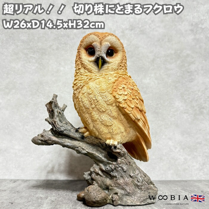 楽天市場】フクロウ ふくろう 梟 鳥 オブジェ オーナメント ガーデン