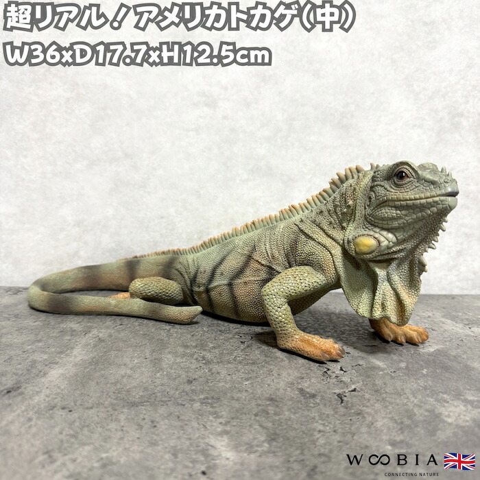 置物 アメリカトカゲ 中 かわいい オブジェ 北欧 動物 高さ12.5cm woobia ウービア 大きい おしゃれ ガーデン インテリア プレゼント 玄関 雑貨 モダン 面白い 庭 ギフト 屋外 家 リアル 玄関先 ガーデンオーナメント