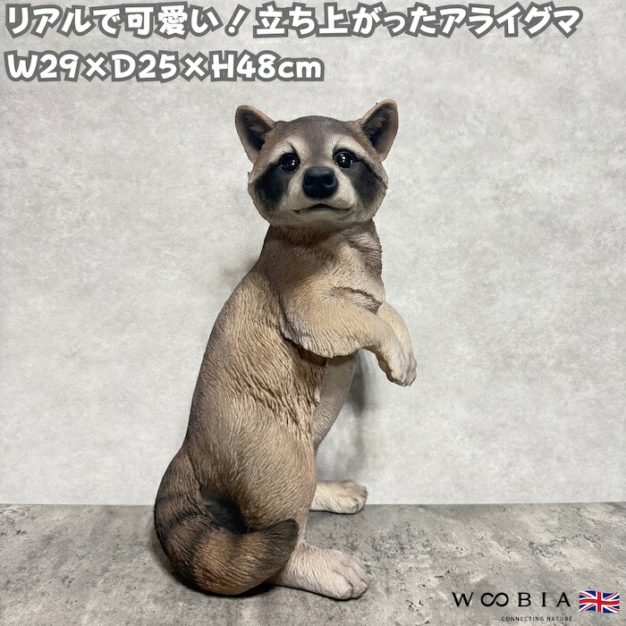 置物 立ち上がったアライグマ 高さ48cm 巨大オブジェ 大型 woobia ウービア 大きい かわいい おしゃれ ガーデン インテリア 可愛い プレゼント 北欧 玄関 雑貨 動物 モダン 面白い 庭 ギフト 屋外 家 リアル 玄関先 ガーデンオーナメント