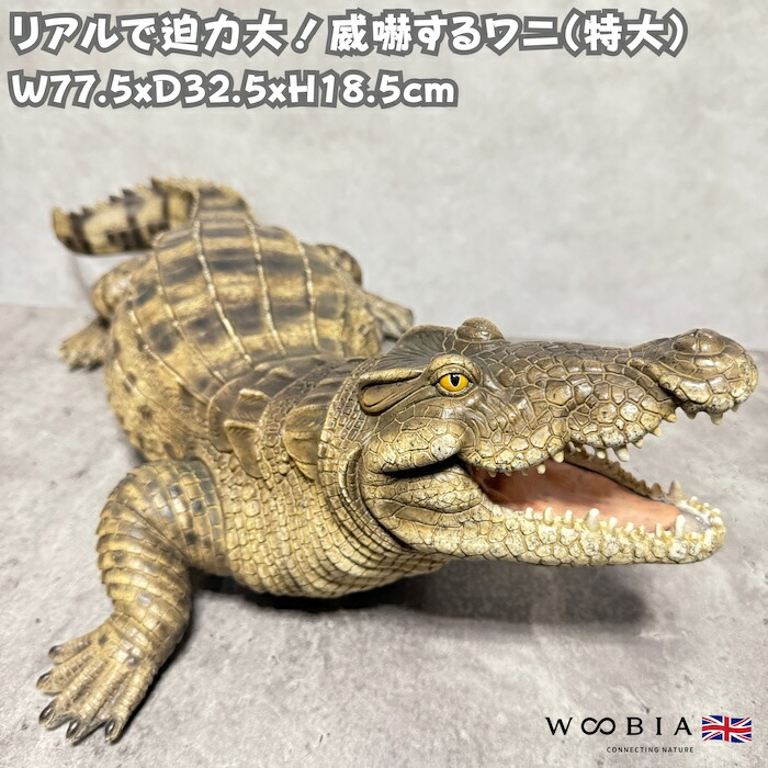 置物 威嚇するワニ 高さ18.5cm woobia ウービア 大きい かわいい おしゃれ ガーデン インテリア オブジェ 巨大 可愛い プレゼント 北欧 玄関 雑貨 動物 モダン 面白い 庭 ギフト 屋外 家 リアル 玄関先 ガーデンオーナメント