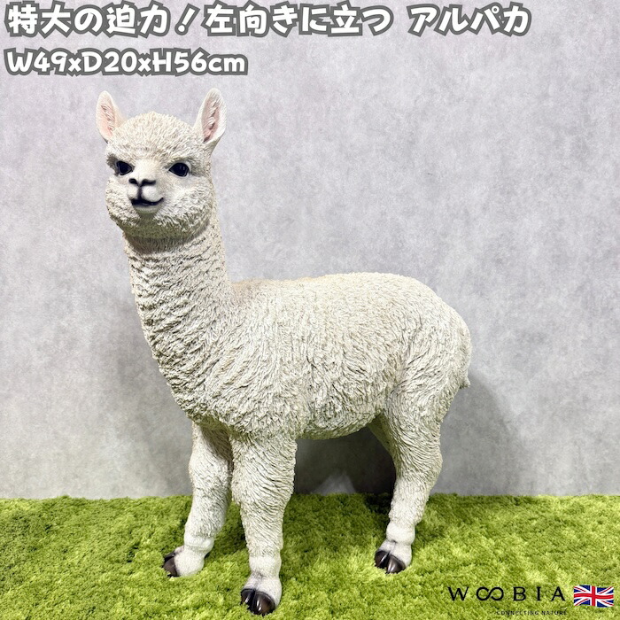 今めかしいな鉢50類概念！超大型～中型まで真四角・矩形・丸型など室外室内別に厳選