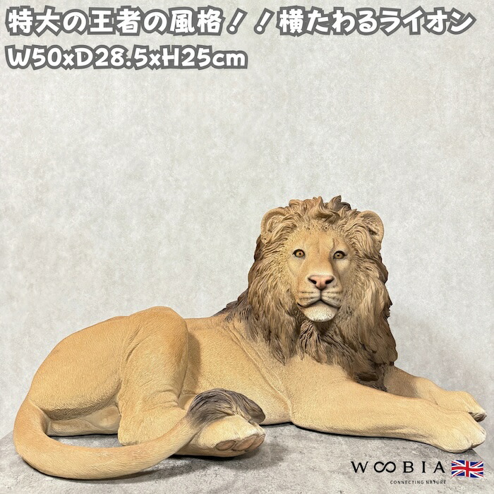 今めかしいな鉢50類概念！超大型～中型まで真四角・矩形・丸型など室外室内別に厳選