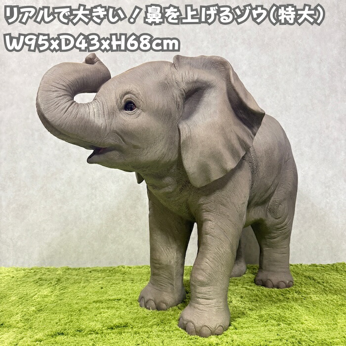 楽天市場】鼻を上げるゾウ（特大） 95 x 43 x 68 cm (幅x奥x高)本物