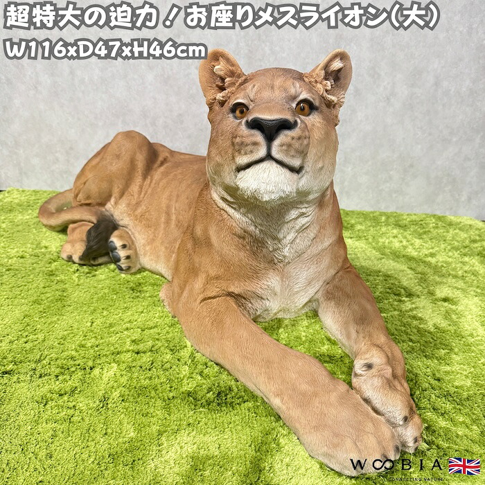 置物 お座りメスライオン 大 巨大オブジェ 横幅116cm woobia ウービア 大きい かわいい おしゃれ ガーデン インテリア オブジェ 可愛い プレゼント 北欧 玄関 雑貨 動物 モダン 面白い 庭 ギフト 屋外 家 リアル 玄関先 ガーデンオーナメント|クラピア・観葉植物専門店ミドリス
