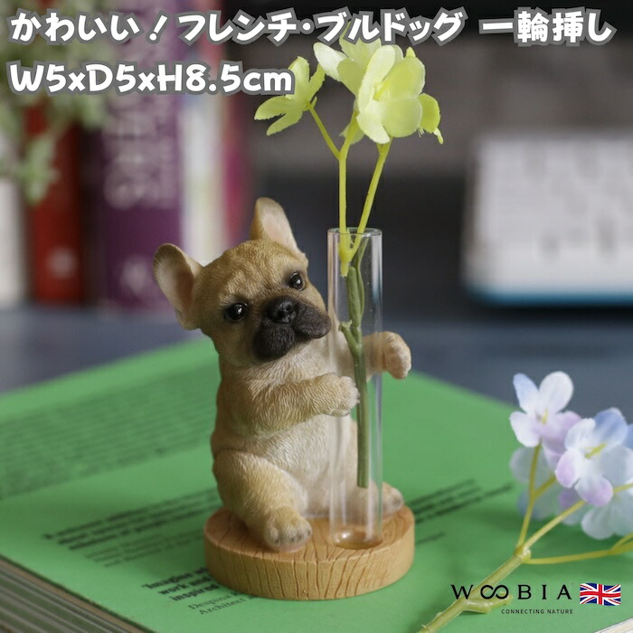 楽天市場】うつぶせ ジャーマンシェパード 76.5 x 38.5 x 41 cm (幅x奥