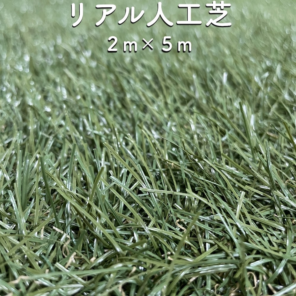 リアル人工芝 ロール つや消しタイプ 幅2m 長さ5m 芝丈30mm 芝生マット 人工芝生 人工芝ロール 芝生 ロールタイプ 庭 ベランダ テラス バルコニー ガーデニング ガーデン 屋上緑化 水はけ 人工芝マット 雑草対策 Meguiars Com Do