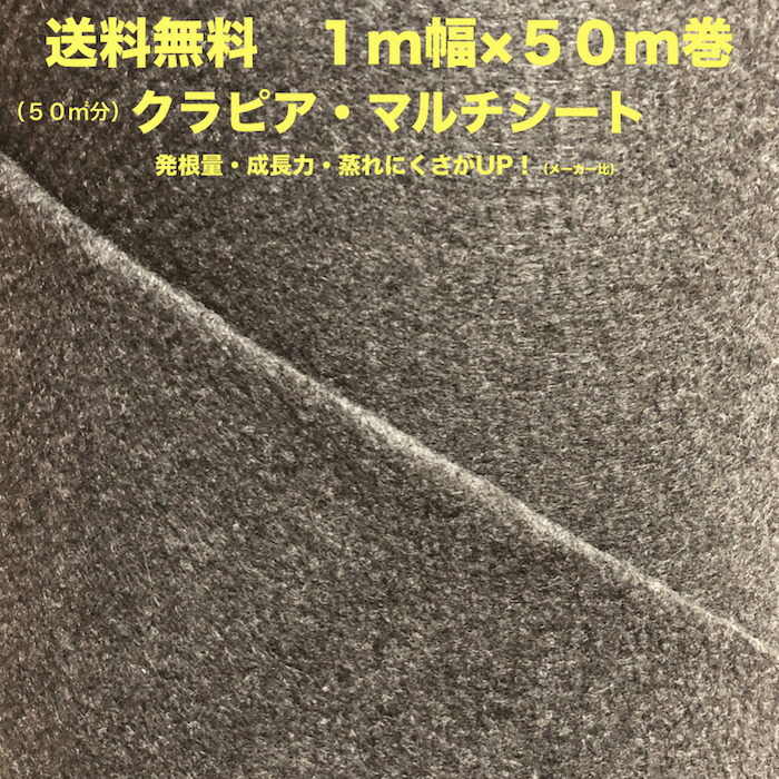 楽天市場】Questシート 黒 防草シート クエストシート 農用シート 草抑え 除草シート 雑草防止シート 雑草対策 農業資材 防ぐ 作物 野菜 果物  畑 農業 農園 農家 園芸 マルチング : クラピア・観葉植物専門店ミドリス