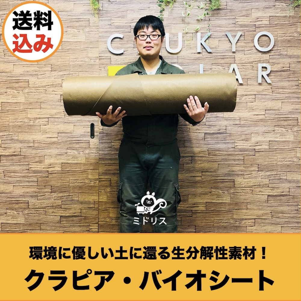 楽天市場 24平米分肥料付きセット バイオシート クラピア植栽用1m 24m 24m2 サブピン 100本 有機一発肥料800g 土に還るシート 防草シート アンカーピン クラピア K7 K5 K3 グランドカバープランツ 雑草対策 ミドリス 楽天市場店